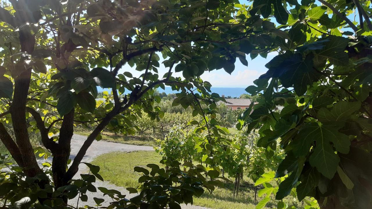 Apartma Tul Izola Eksteriør billede